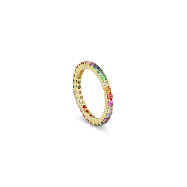 Grande Eternity Band in Rainbow - Charlotte Allison Fine Jewelry