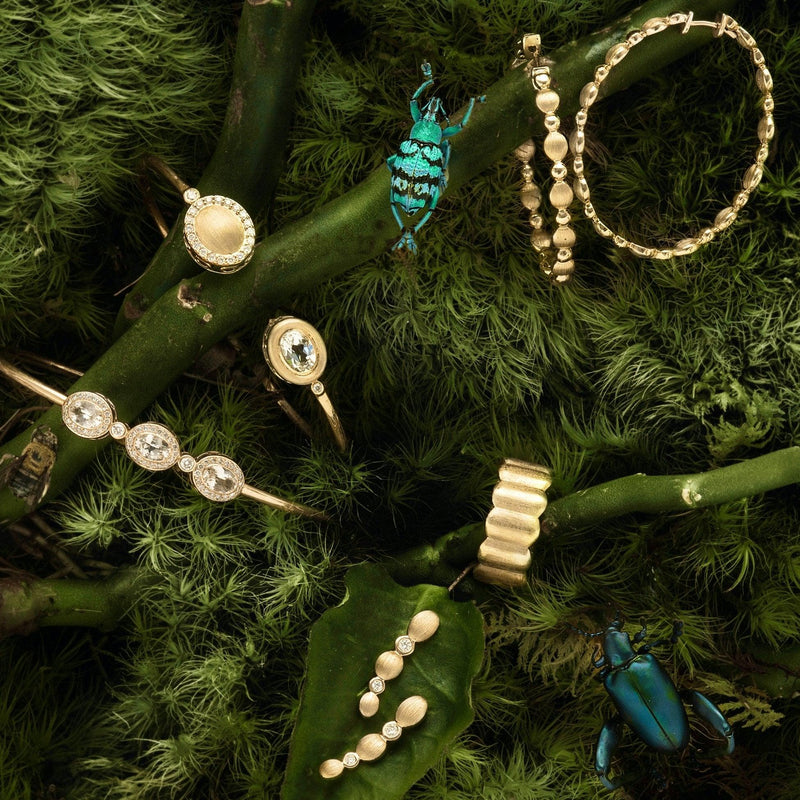Scallop Cigar Band in Brushed Gold - Charlotte Allison Fine Jewelry